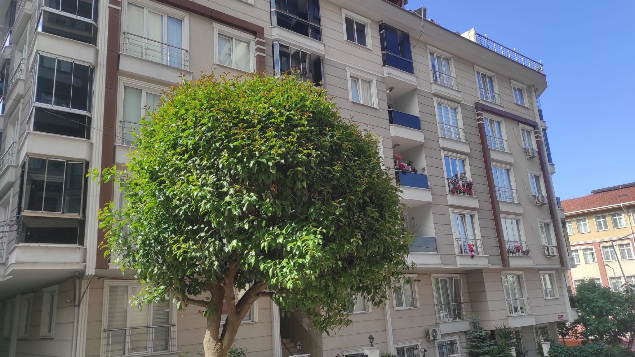 İstanbul Bahçeli Evler 1186/7 Konut Projesi - 3