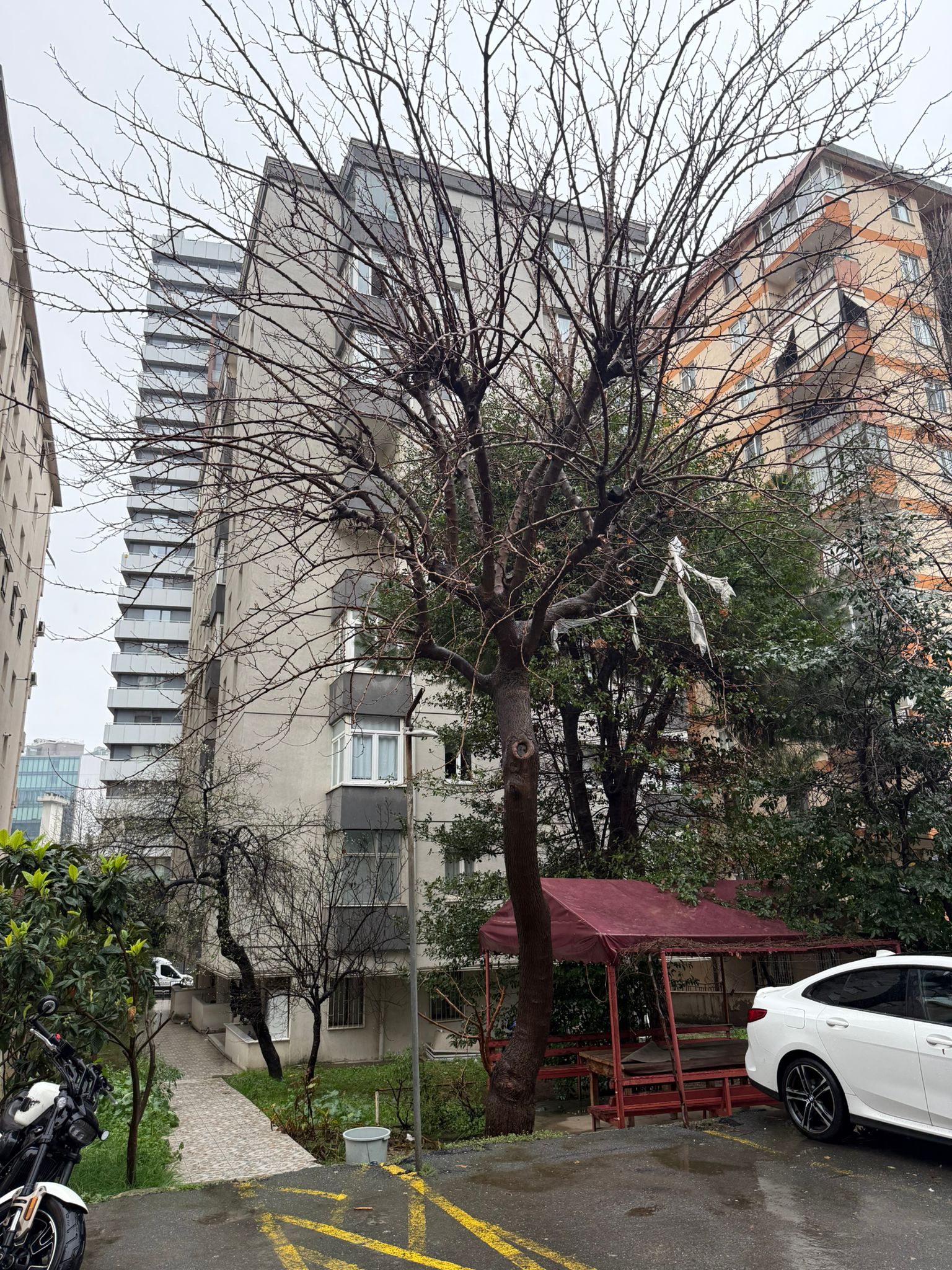 İstanbul Aktunç Apartmanı - 10